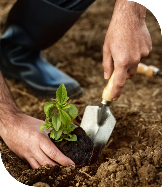 About Us, collaboration at Kshema