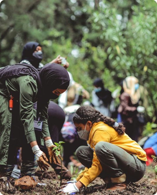 Agriculture Impact Image