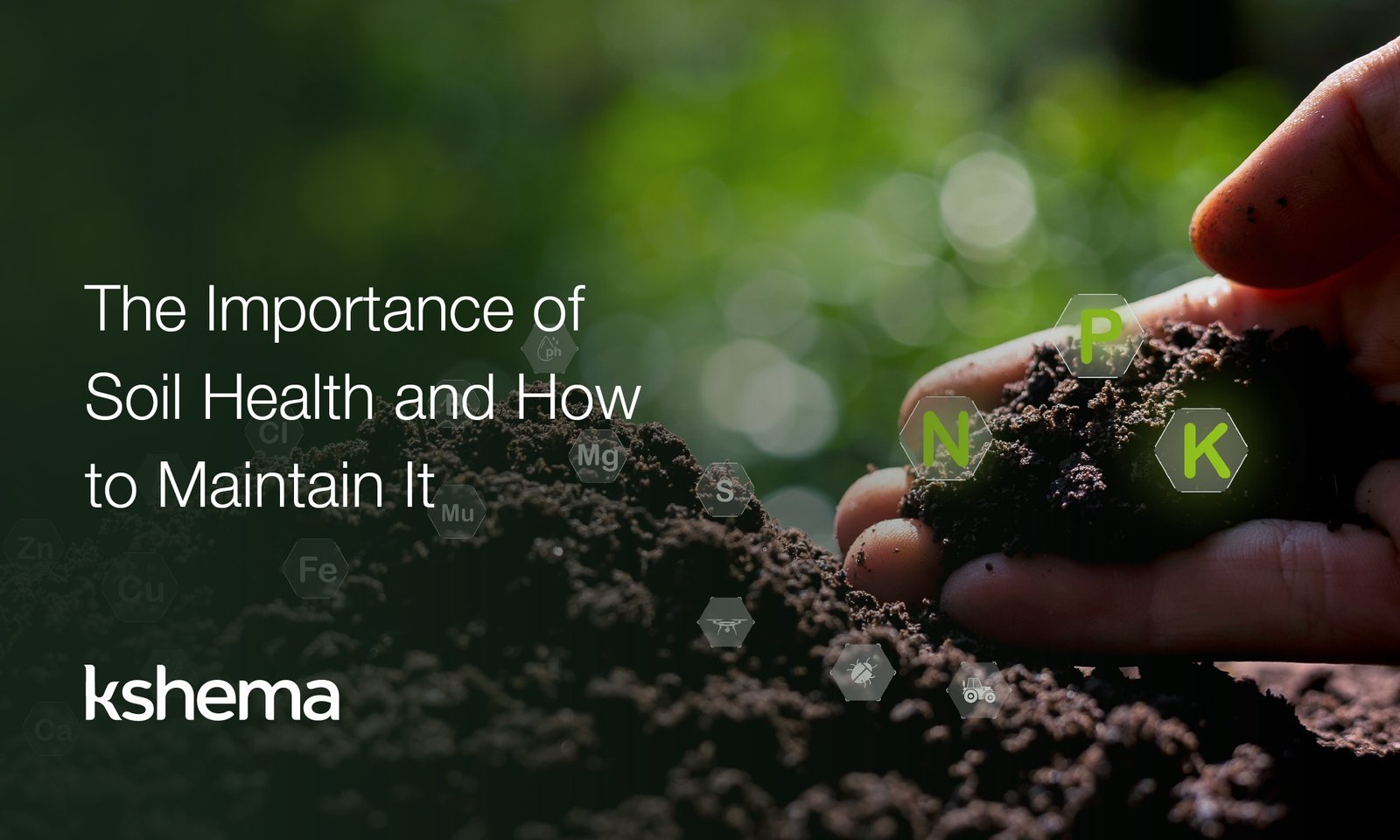 soil health, The Importance of Soil Health and How to Maintain It, crop insurance, kshema, crop insurance in india,crop insurance,agriculture insurance