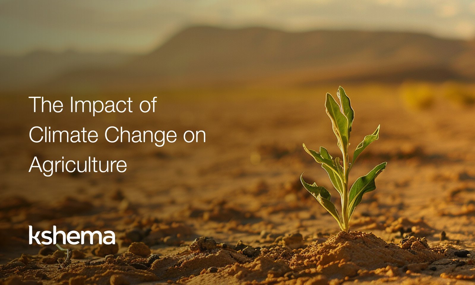 impact of climate change on farming, crop insurance,వ్యవసాయబీమా, పంటబీమా, फसलबीमा, कृषिबीमा, कृषीविमा, पीकविमा, ಬೆಳೆವಿಮೆ, ಕೃಷಿವಿಮೆ,agriculture insurance