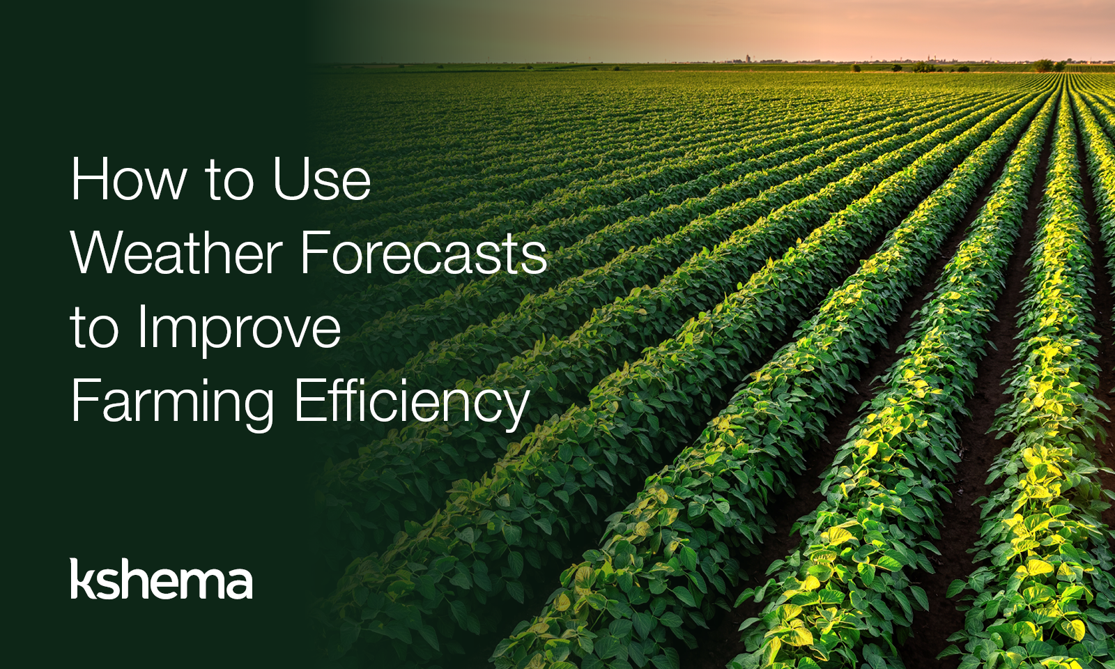 Weather Forecast in Farming, Farmer using modern technology and weather forecasts to enhance agricultural productivity and reduce risks from climate change.