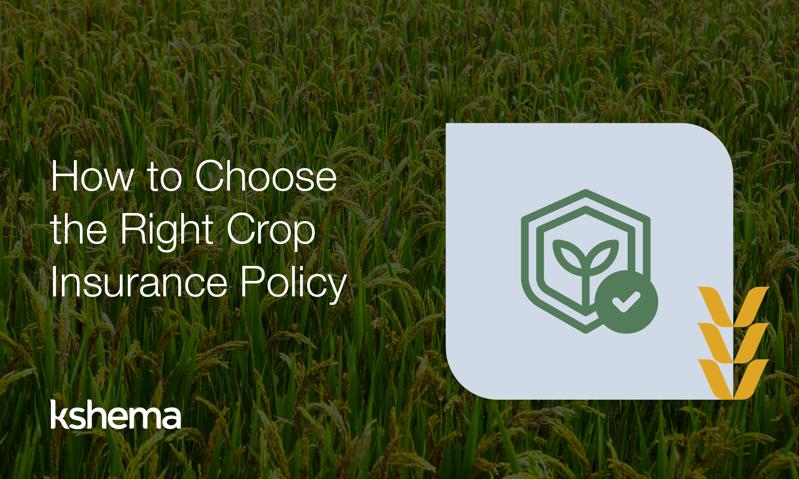 crop insurance policy 2025, crop insurance guide, best crop insurance for farmers, crop insurance meaning, agriculture insurance products, types of agricultural insurance, best farm insurance, crop insurance coverage, government crop insurance schemes, does crop insurance cover flooding