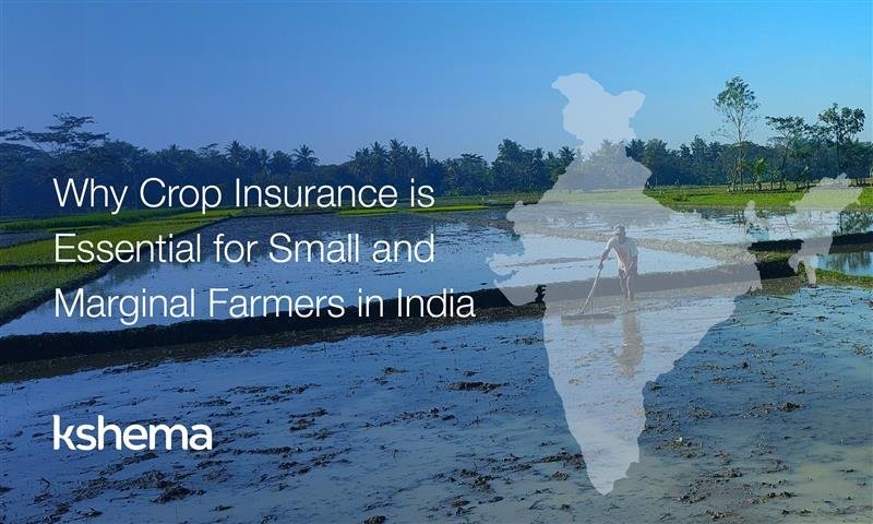 crop insurance in india, agricultural insurance in india, crop insurance benefits, what is crop insurance in india, crop insurance india, farm insurance, crop insurance schemes india, crop insurance haryana, smart crop advisory system for small and marginal farmers, importance of crop insurance in india