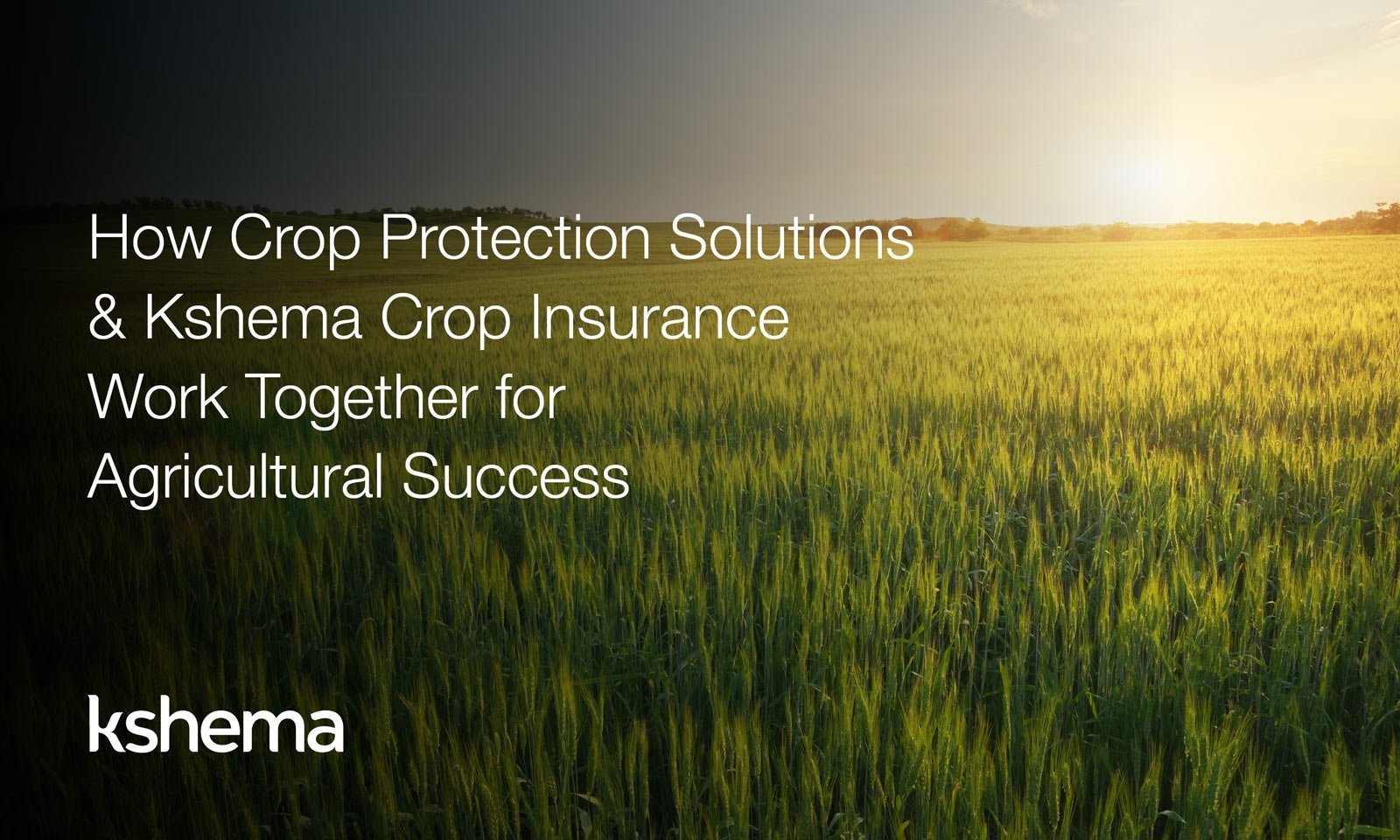 crop protection solutions, crop loss protection, crop insurance solution, advanced crop protection solutions, crop insurance management solutions, agri‑insurance portfolio solutions, benefits of crop protection, crop protection insurance India, crop protection techniques, crop protection India 2025