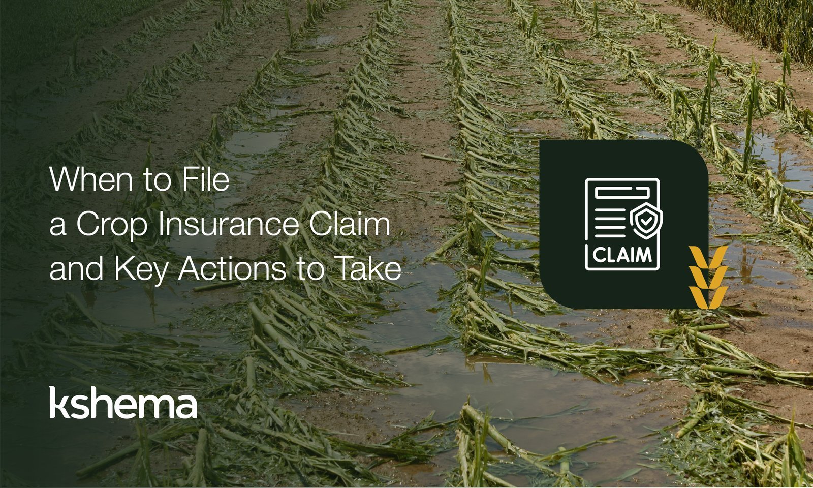 Crop Insurance, Crop Insurance in India, Agri Insurance, Agriculture Insurance, Agro Insurance, Crop insurance coverage, crop insurance claim,