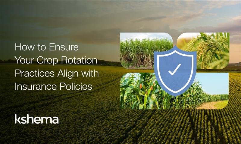 crop rotation, crop rotation in India, crop rotation examples in India, example of crop rotation in India, crop rotation meaning in Kannada, rotation of crops is essential for, crop rotation techniques, benefits of crop rotation, sustainable farming India, crop rotation and insurance