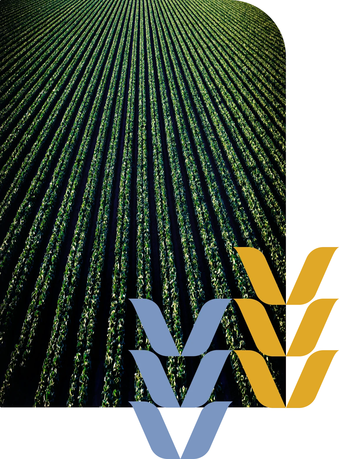 Banner for job openings at Kshema General Insurance,crop insurance, agriculture insurance, వ్యవసాయ బీమా, పంట బీమా, फसल बीमा, कृषि बीमा, कृषी विमा, पीक विमा, ಬೆಳೆ ವಿಮೆ, ಕೃಷಿ ವಿಮೆ