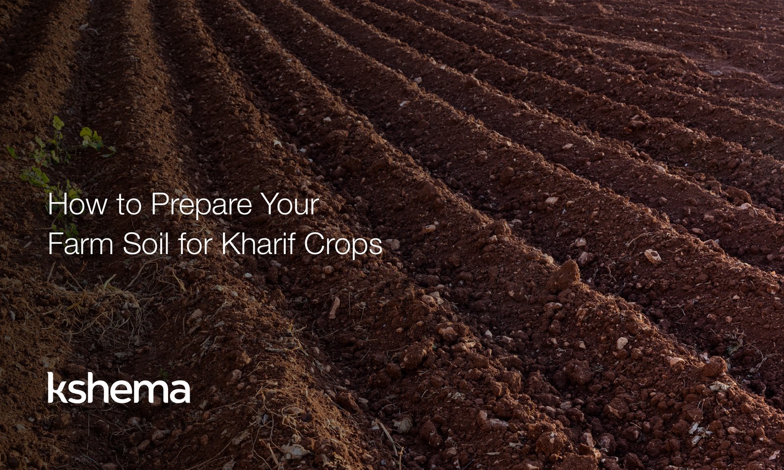 Kharif crops, Soil preparation, Monsoon farming, Organic compost, Crop insurance India, Land levelling, Green manure, Drip irrigation, Sustainable agriculture, Kshema App
