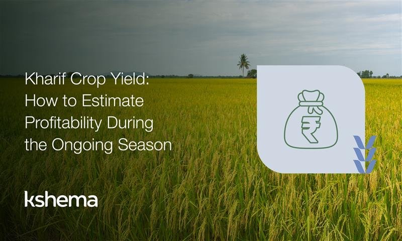 kharif crop yield, kharif farming, kharif crops in India, kharif season agriculture, kharif crop profitability, estimate kharif yield, kharif farming tips, crop insurance for kharif crops, sustainable kharif farming, kharif agriculture practices