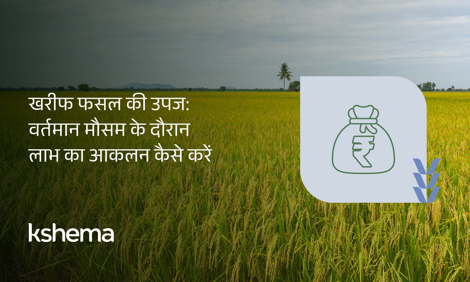 Kharif ki Fasal, खरीफ फसल की उपज, खरीफ उत्पादन, फसल लाभ, फसल बीमा योजना, खेती की लागत, मौसम आधारित खेती, कृषि जोखिम प्रबंधन, न्यूनतम समर्थन मूल्य, मिट्टी परीक्षण, क्षेमा ऐप