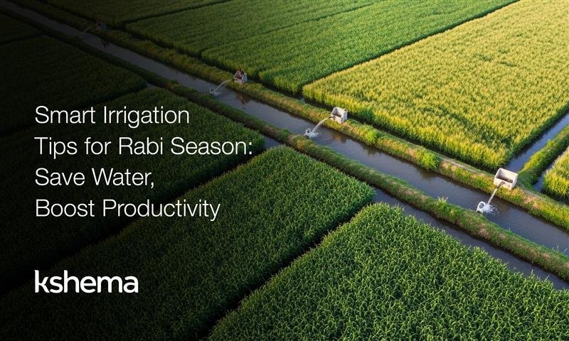 Rabi season, smart irrigation, water management in agriculture, drip irrigation, sprinkler irrigation, soil moisture sensors, irrigation scheduling apps, mulching techniques, rainwater harvesting, sustainable farming India