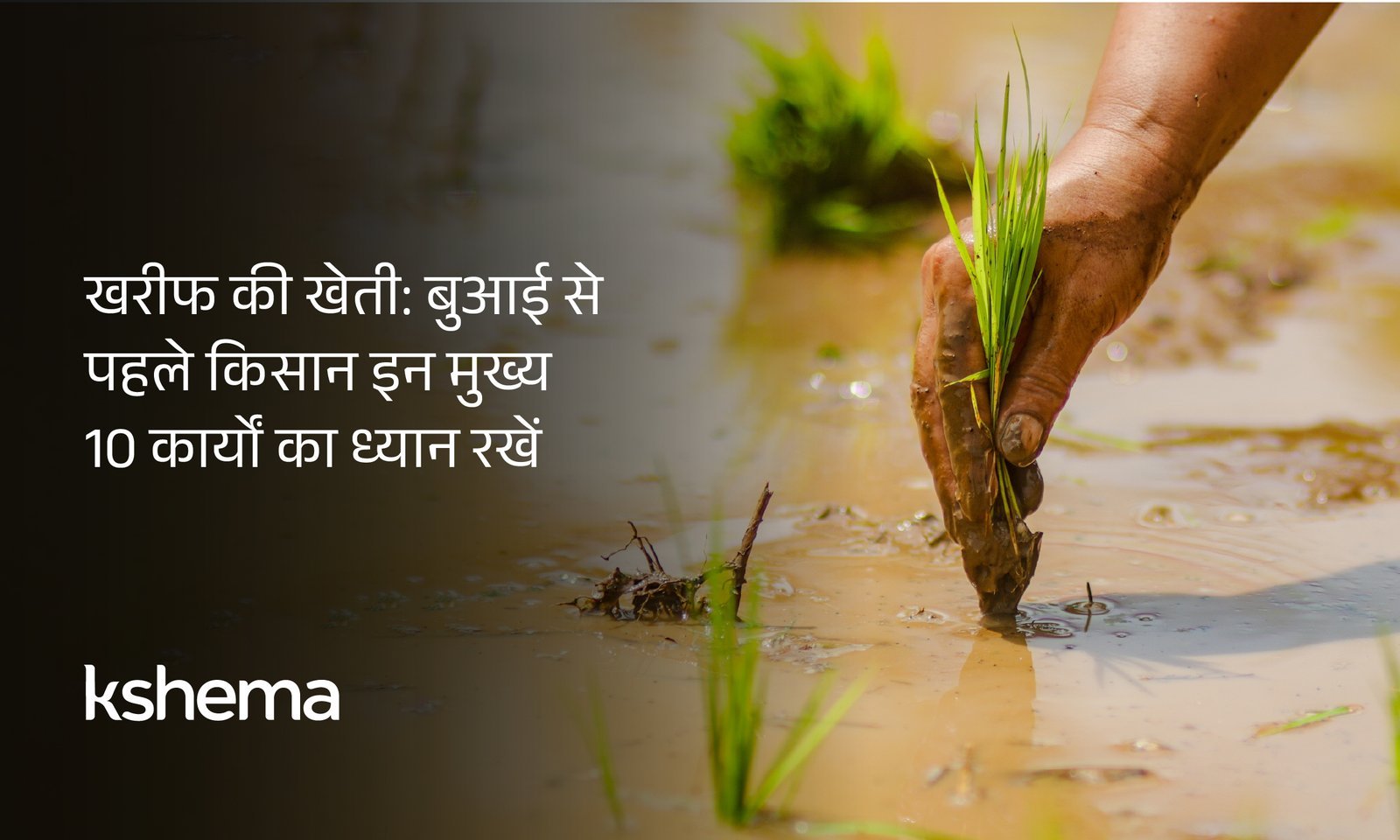 खरीफ की खेती 2025,खरीफ की खेती, खरीफ फसल की तैयारी, खरीफ फसल बीमा, खरीफ फसल की उपज, खरीफ फसल की बुआई, खरीफ मौसम, खरीफ फसल की लागत, खरीफ फसल के लिए सही बीज, खरीफ फसल की सिंचाई योजना, खरीफ फसल के लिए मिट्टी की तैयारी