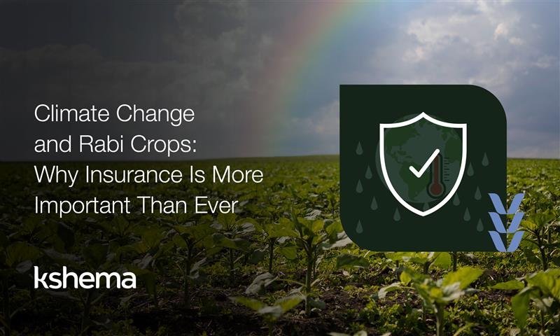 Rabi Crop Insurance, Rabi crops, Climate change India, Rabi crops insurance, crop insurance India, Kshema app, peril-based insurance, farm risk management, agriculture insurance, Rabi season farming, weather risk farming, smart farming India