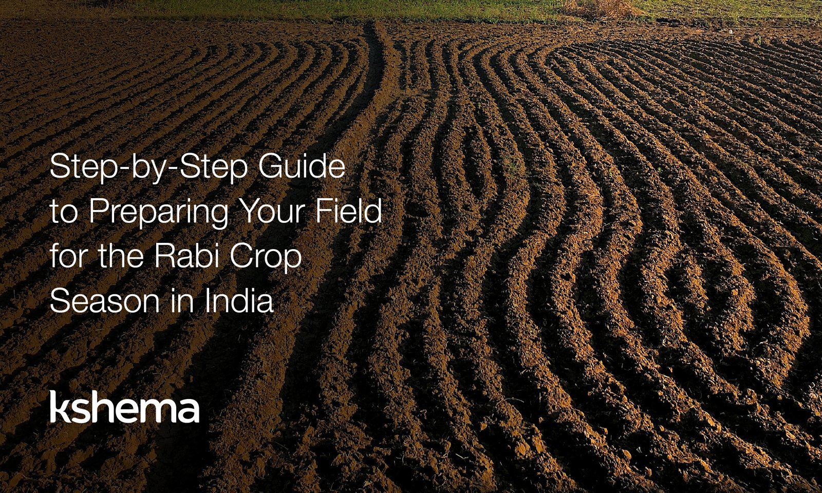 rabi crop season, rabi crop season in india, rabi farming tips, rabi crop preparation, soil testing for rabi crops, irrigation planning rabi season, best rabi crops india, crop insurance for rabi farmers, sustainable farming practices, rabi season agriculture guide
