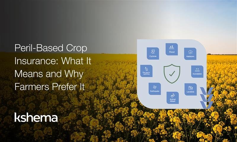 peril-based crop insurance, crop insurance India, Rabi crop protection, Kshema Sukriti, Kshema Prakriti, PMFBY, RWBCIS, weather index insurance, yield-based insurance, farm risk management, insurance for farmers, Rabi season farming, agricultural insurance schemes, Telangana farmers, hailstorm insurance, flood insurance for crops