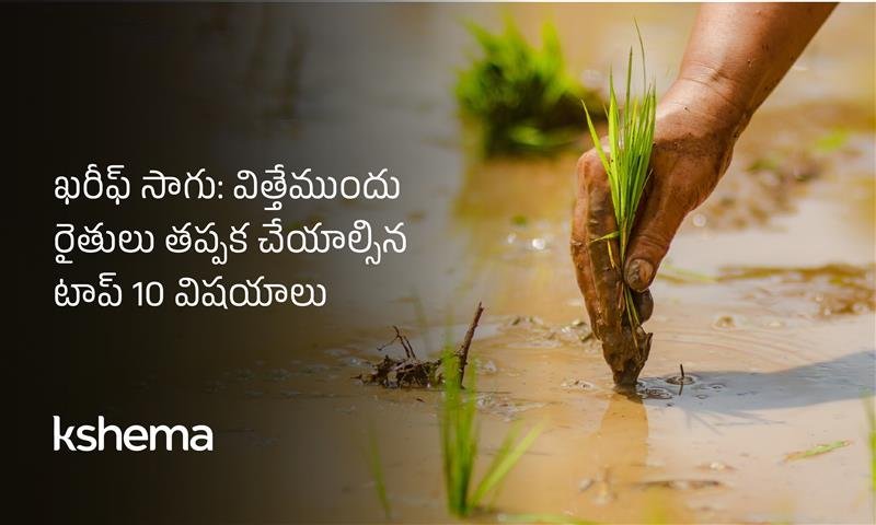 ఖరీఫ్ వ్యవసాయం 2025 పంట లాభదాయక ప్రణాళిక చిట్కాలు