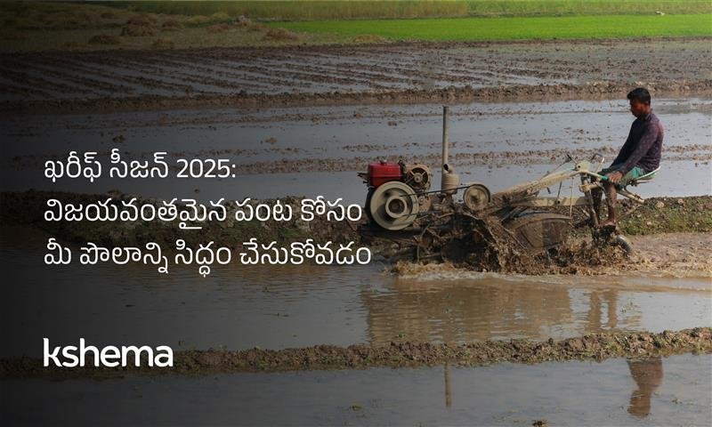 ఖరీఫ్ సీజన్, ఖరీఫ్ పంటలు, పంట బీమా, రైతు మార్గదర్శకాలు, నేల పరీక్ష, నీటి నిర్వహణ, IPM పద్ధతులు, వ్యవసాయ సూచనలు,