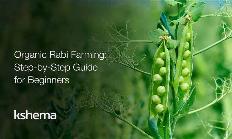 organic rabi farming, organic farming in India, sustainable farming, rabi season farming tips, organic crop cultivation, eco-friendly farming methods, soil health in organic farming, pest control in organic farming, organic farming benefits, sustainable agriculture practices