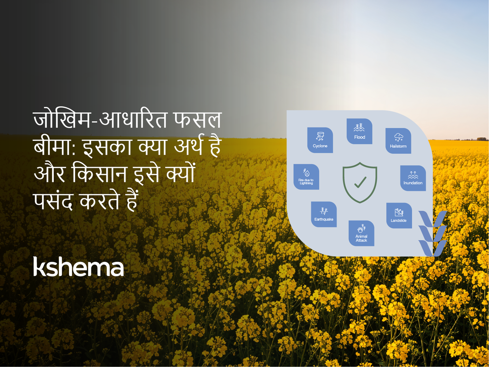 रबी फसलों के लिए जोखिम-आधारित फसल बीमा – बाढ़, पाला, ओलावृष्टि से सुरक्षा