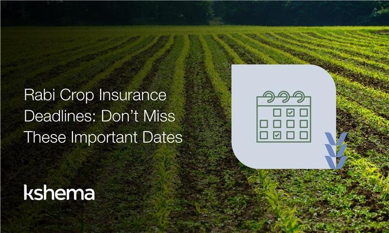 Farmer checking rabi crop insurance deadlines and PMFBY last date for fasal bima enrolment