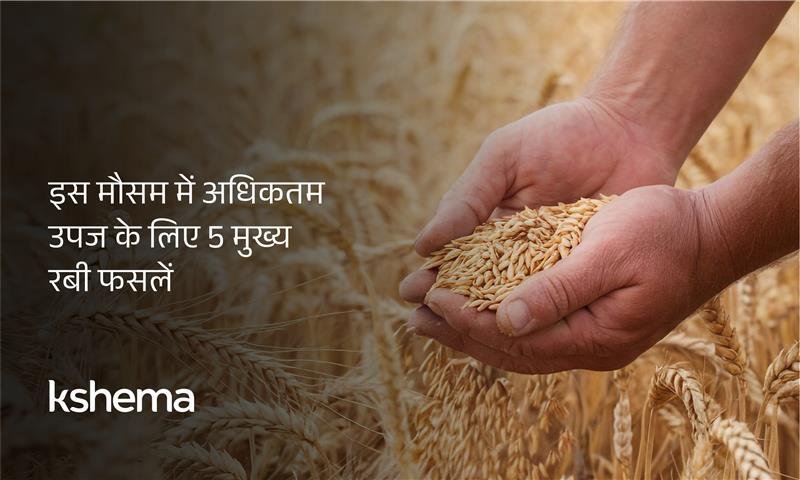 रबी फसलें, 2025 की सबसे अच्छी रबी फसलें, रबी फसलें सूची, गेहूं रबी फसल, सरसों रबी फसल, चना रबी फसल, मसूर दाल रबी, जौ की खेती, रबी फसल MSP, अधिकतम उपज रबी फसलें