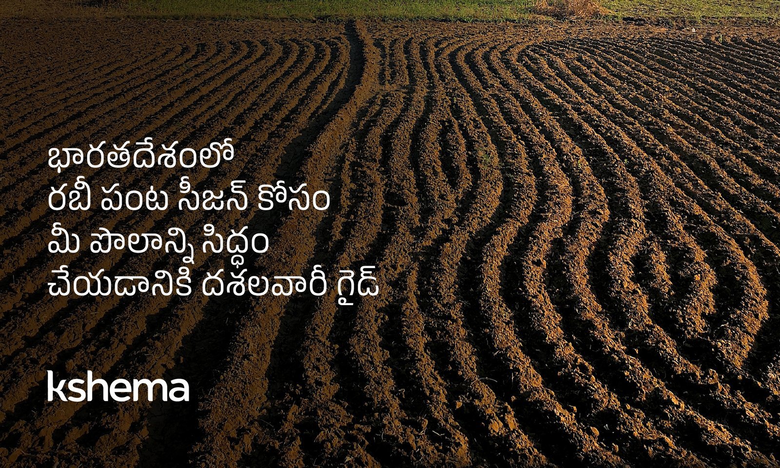 రబీ పంటల సీజన్, రబీ పంటల సీజన్‌లో గోధుమలు, ఆవాలు బువైకి ముందు రైతులు నేల పరీక్ష, దున్నడం, డ్రిప్/స్ప్రింక్లర్ నీటిపారుదల ప్రణాళిక చేస్తున్నారు