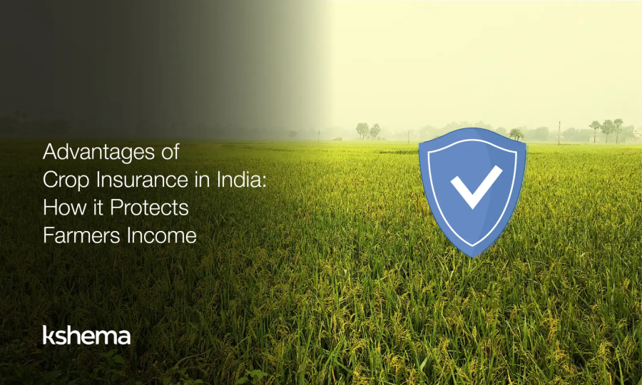Advantages of crop insurance in India showing how farmer income is protected from crop loss