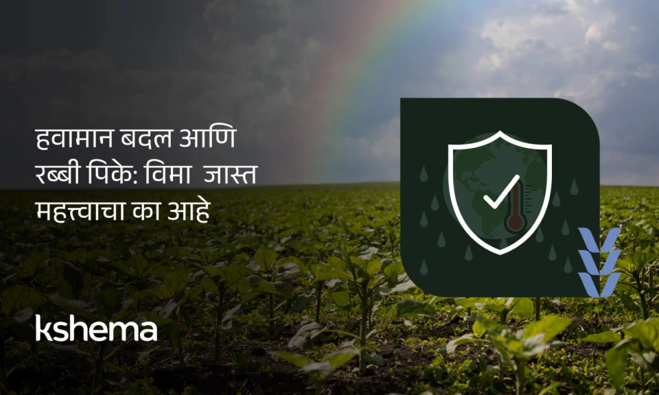 रब्बी पीक विमा—गहू/मोहरीसारख्या रब्बी पिकांसाठी हवामान बदलात आर्थिक संरक्षण आणि त्वरित दावा प्रक्रियेवर भर