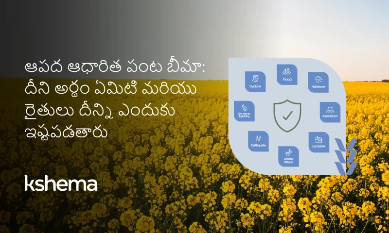 రబీ పంటలకు ఆపద ఆధారిత పంట బీమా – వరదలు, మంచు, వడగళ్ల నుండి రక్షణ